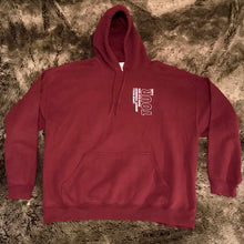 Load image into Gallery viewer, 2017 Birds Eye View Concert Exclusive Hoodie (Maroon)