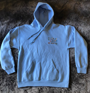 Birds Album Drop Hoodie (Light Blue)