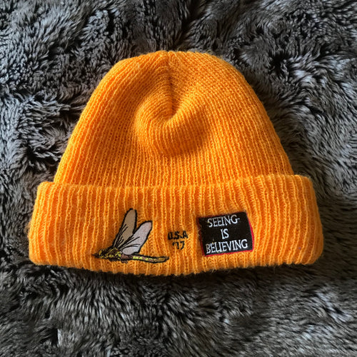 Birds “Seeing is Believing” 2017 Beanie