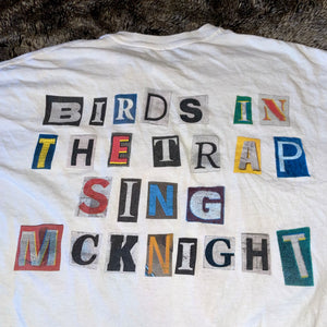 Birds Album Drop Eagle Tee